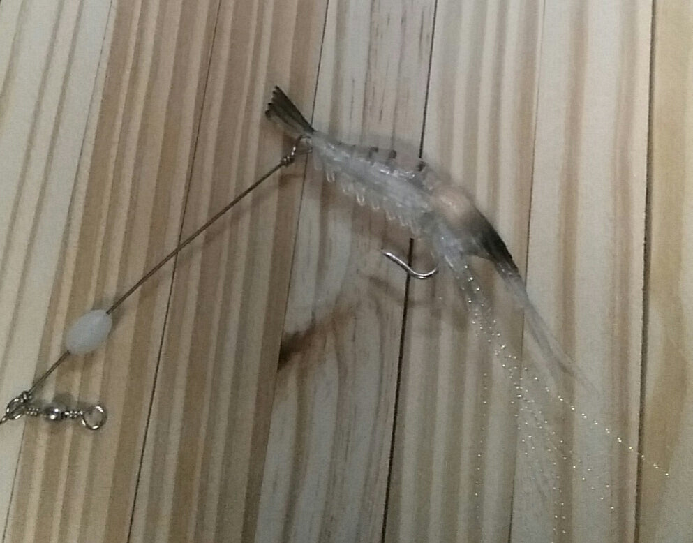 Poppin' Shrimp (WHITE)